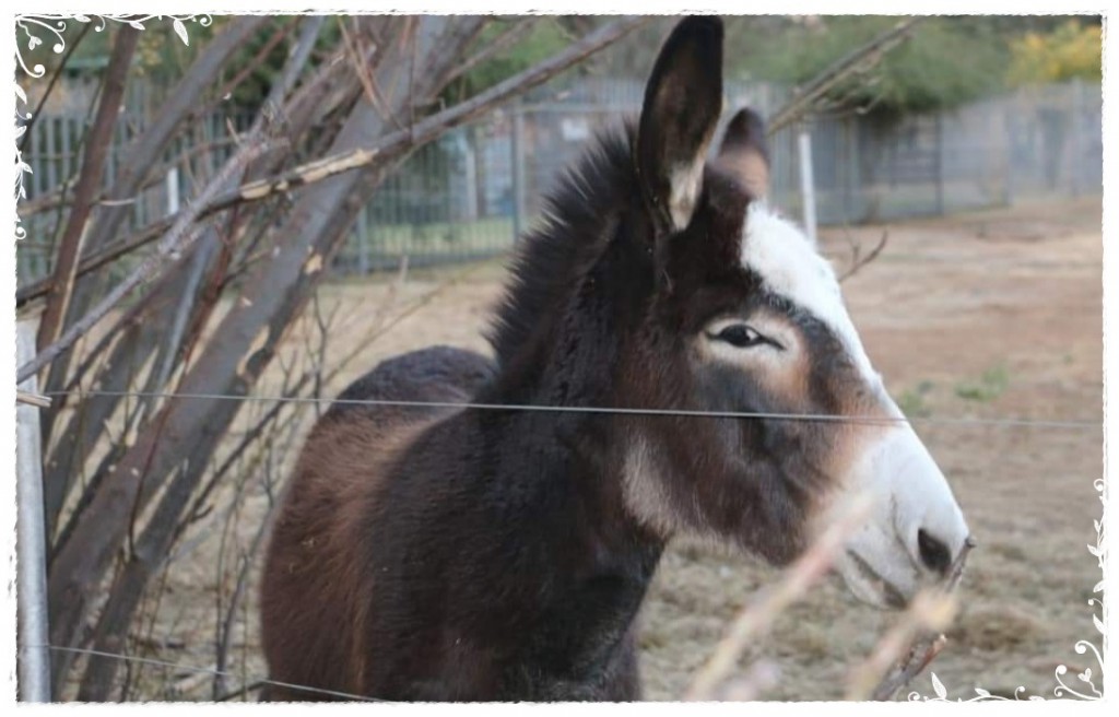 Screenshot_20190729_171449